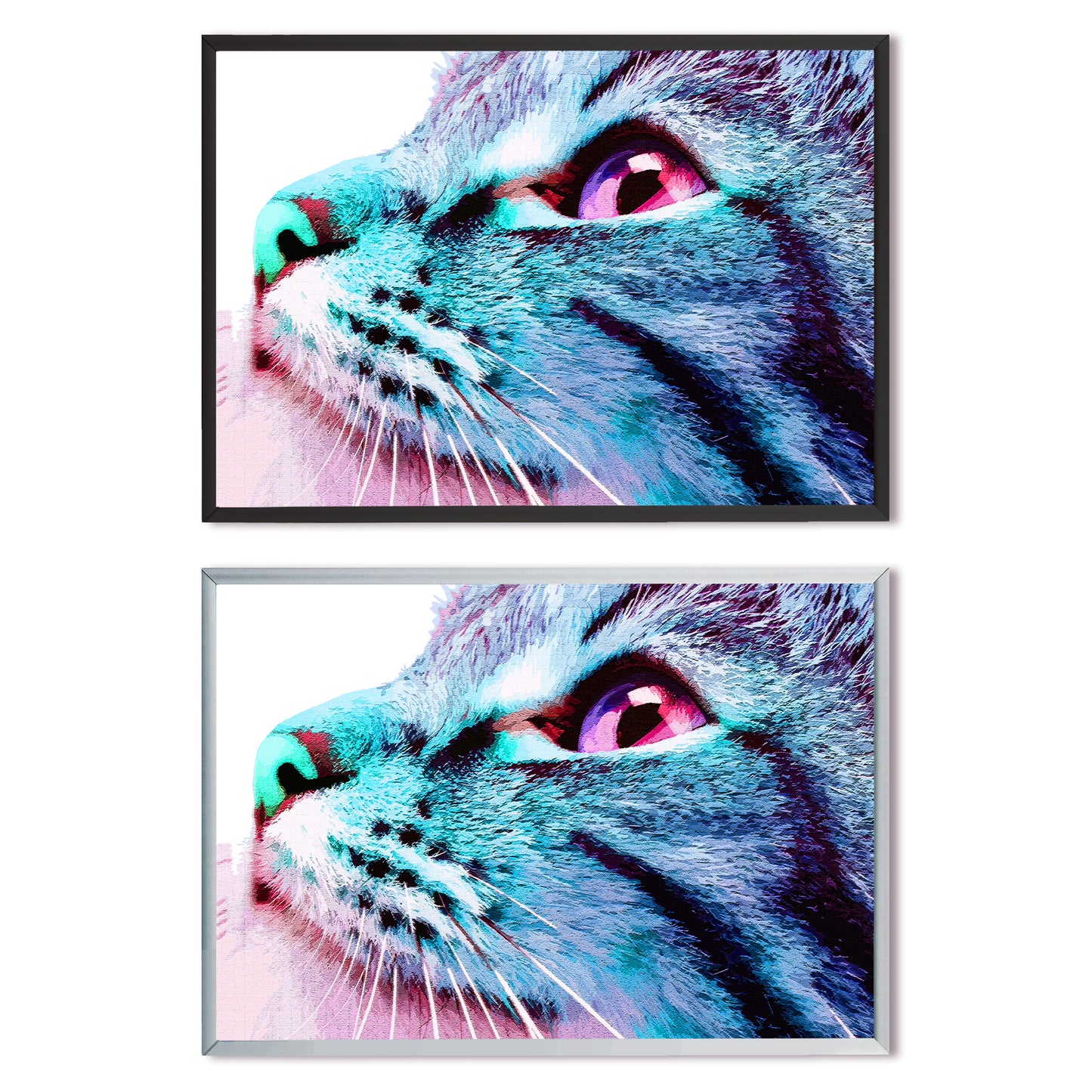 猫の横顔
